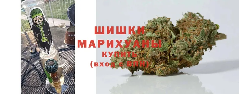 Бошки Шишки THC 21%  купить наркотики цена  Миасс 